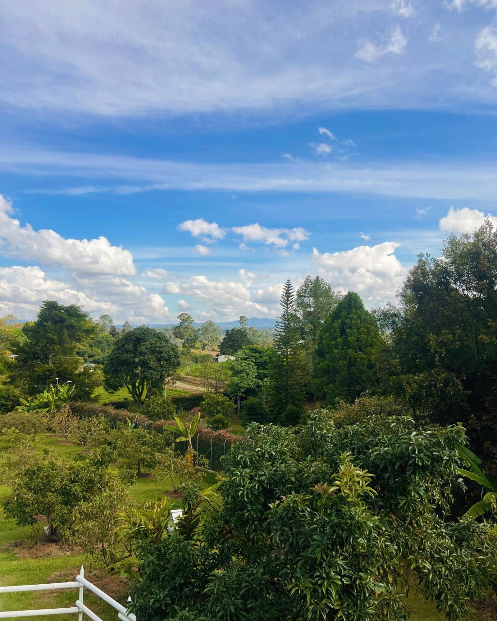 Finca Hotel 12 Palmas- Aeropuerto Jmc Rionegro Kültér fotó