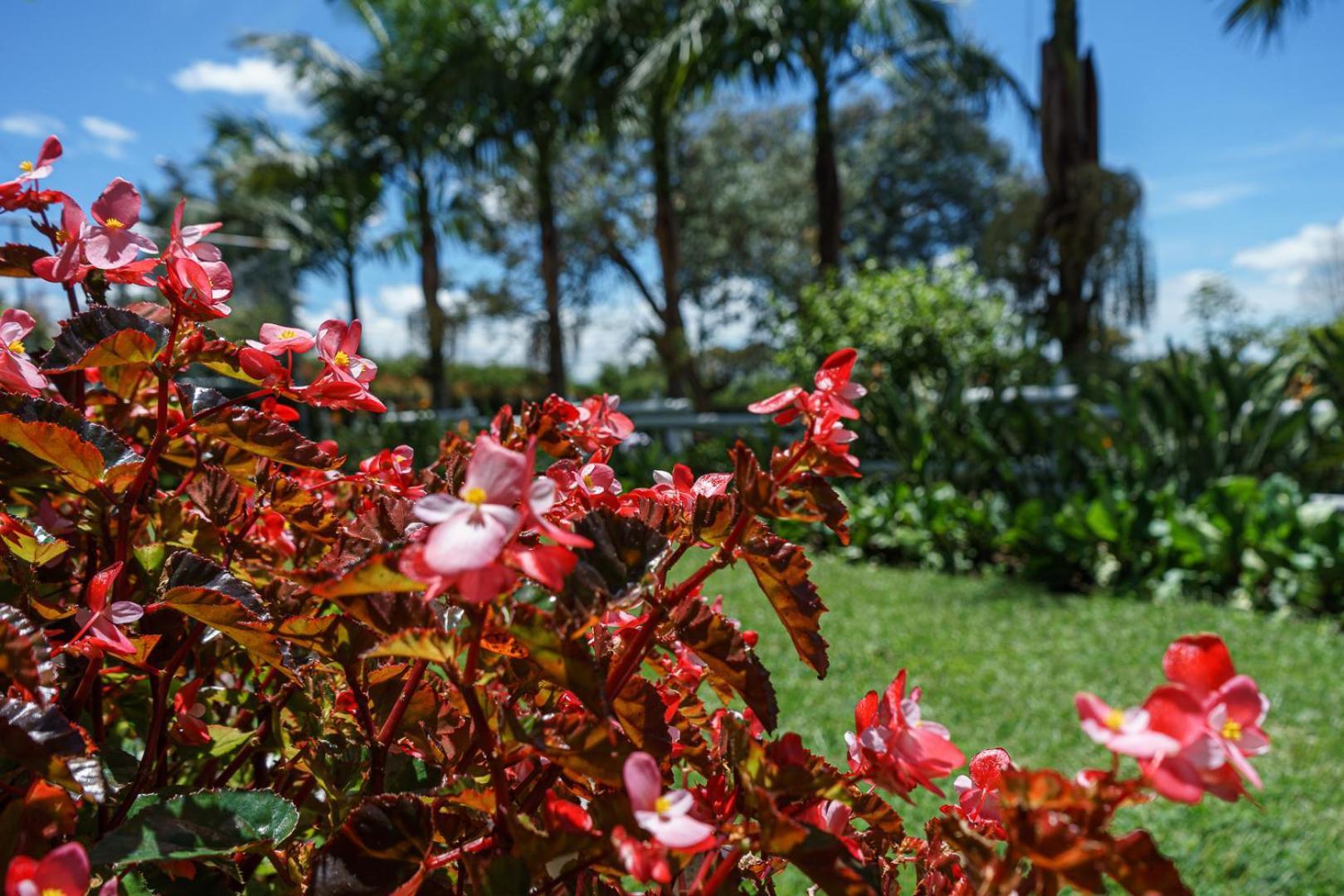 Finca Hotel 12 Palmas- Aeropuerto Jmc Rionegro Kültér fotó
